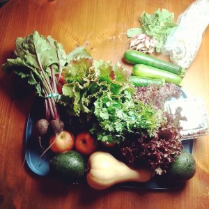 IMG_20140926_121803[1]